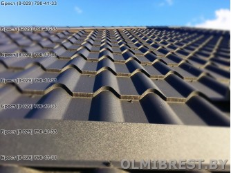 Металлочерепица Blachotrapez Diament Plus в Бресте