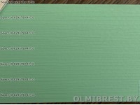 Светло-зелёный сайдинг для фасада Технониколь Мелисса в Бресте Светло-зелёный сайдинг для фасада Технониколь Мелисса в Бресте