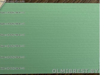 Светло-зелёный сайдинг для фасада Технониколь Мелисса в Бресте