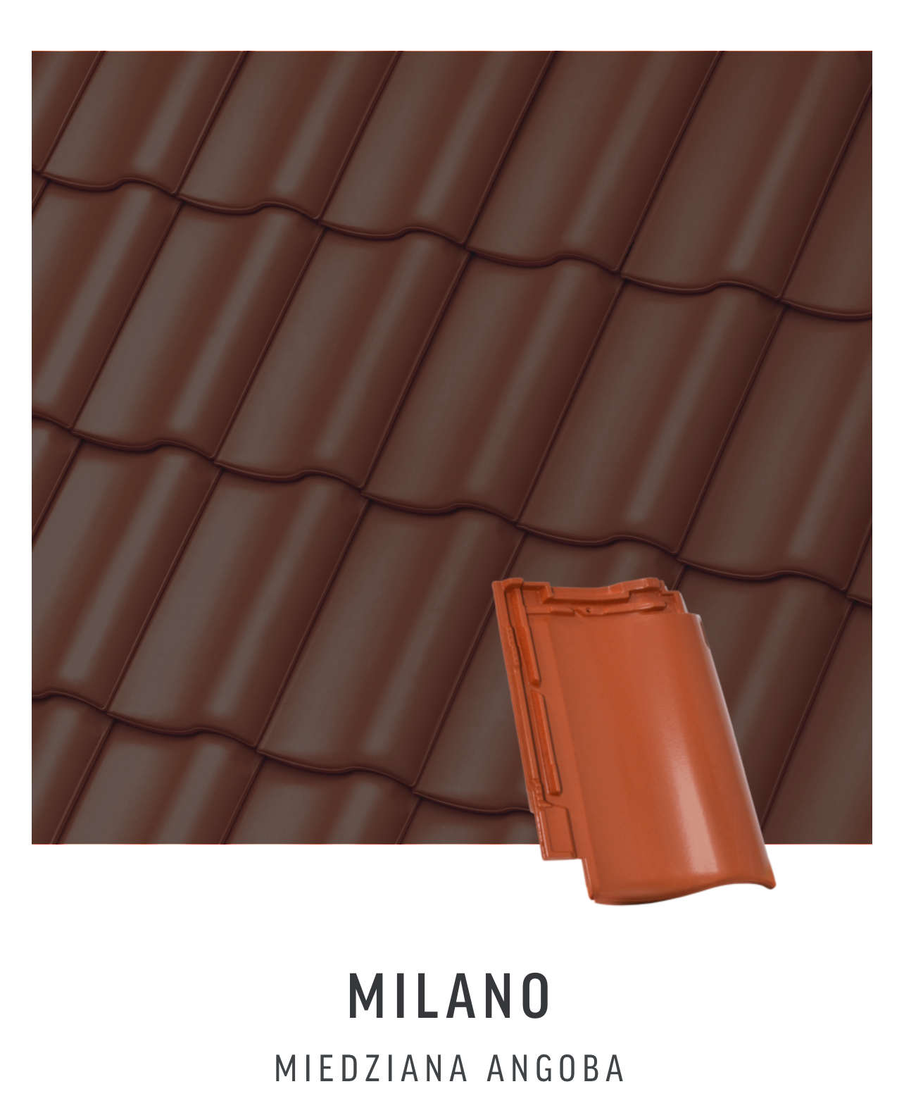 Ангобированная керамическая черепица Roben Milano